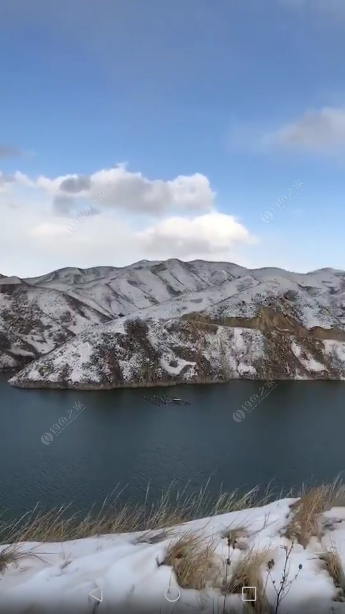 原神花鳉在哪钓_原神花鳉在哪钓_原神花鳉在哪钓