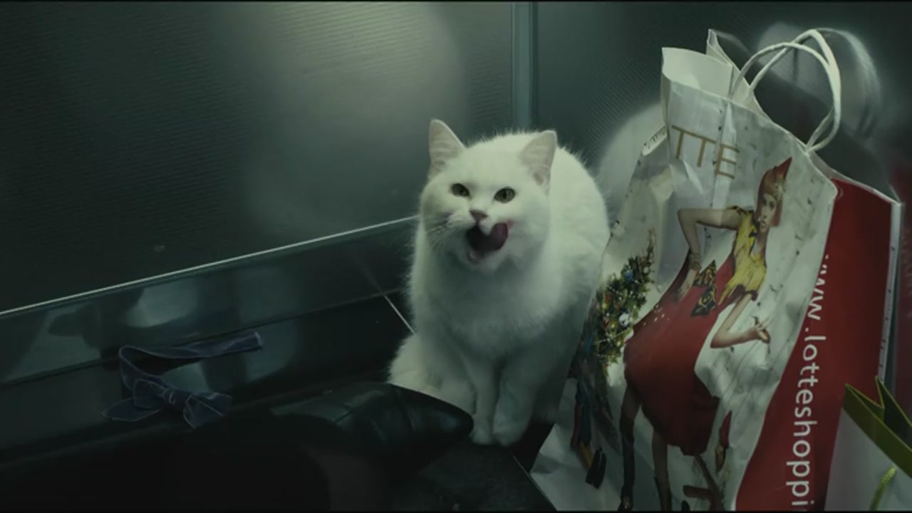 猫咪影院_猫咪影院页面更新自动转跳_喵咪影片