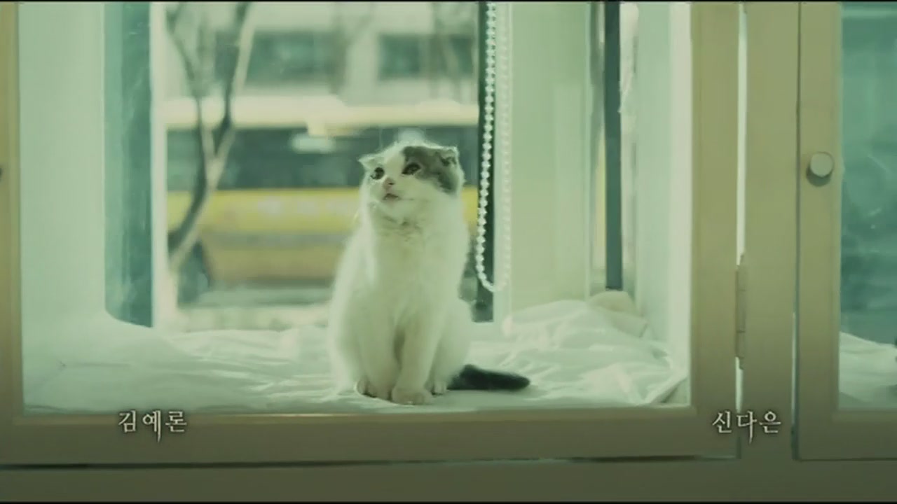 喵咪影片_猫咪影院页面更新自动转跳_猫咪影院