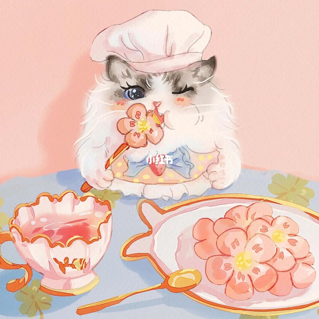 猫咪的奇幻冒险，探寻神秘世界