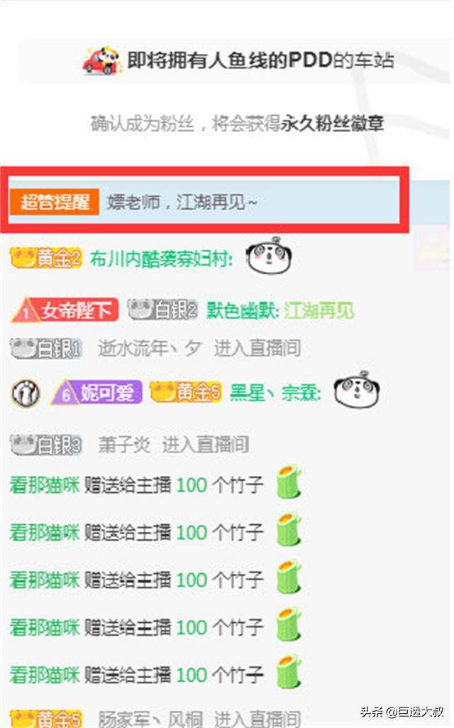熊猫直播_熊猫直播创始人是谁_熊猫直播平台
