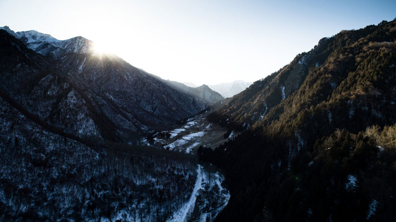 山海北山神树的秘密，我迫不及待想揭开