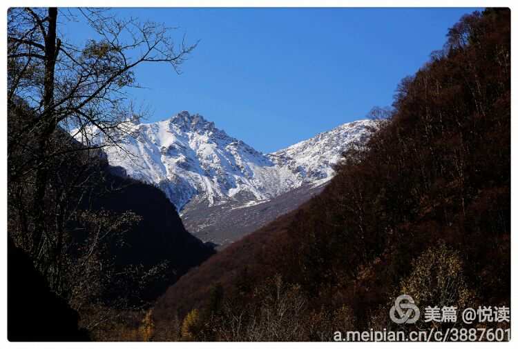 妄想山海北溟元神_妄想山海没有北山吗_妄想山海北山神树在哪