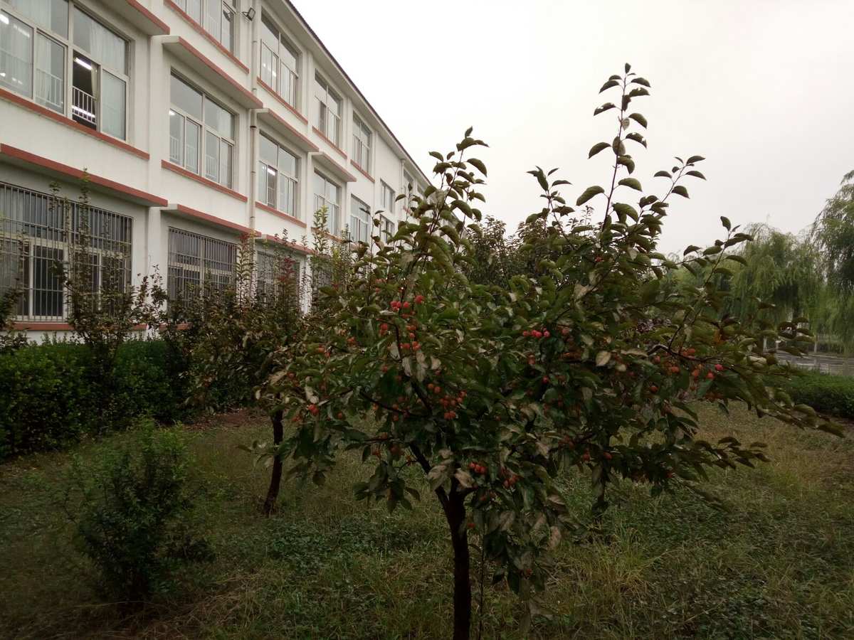 千牛官方下载_官方下载千牛卖家版_下载安装千牛官方网站