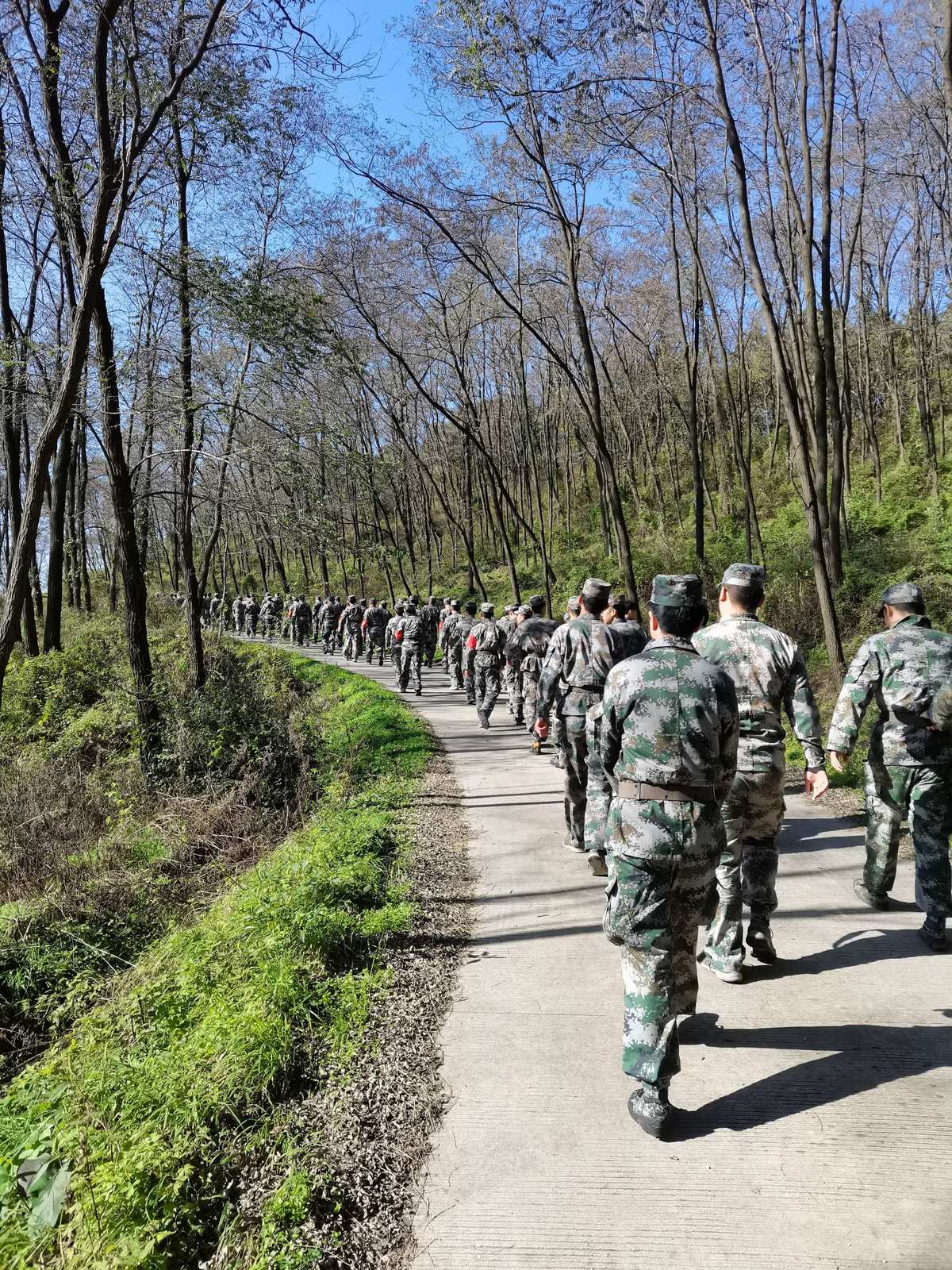 保卫基地塔防王者_保卫基地下载_保卫基地