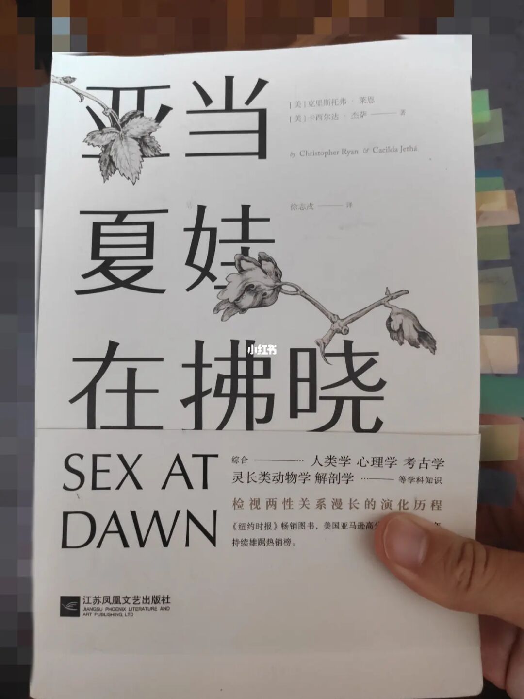 亚当找夏娃：她是我心中的女神，如书籍般散发魅力