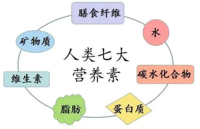 养生大师享年51岁_养生大师_养生大师林海峰个人资料简介