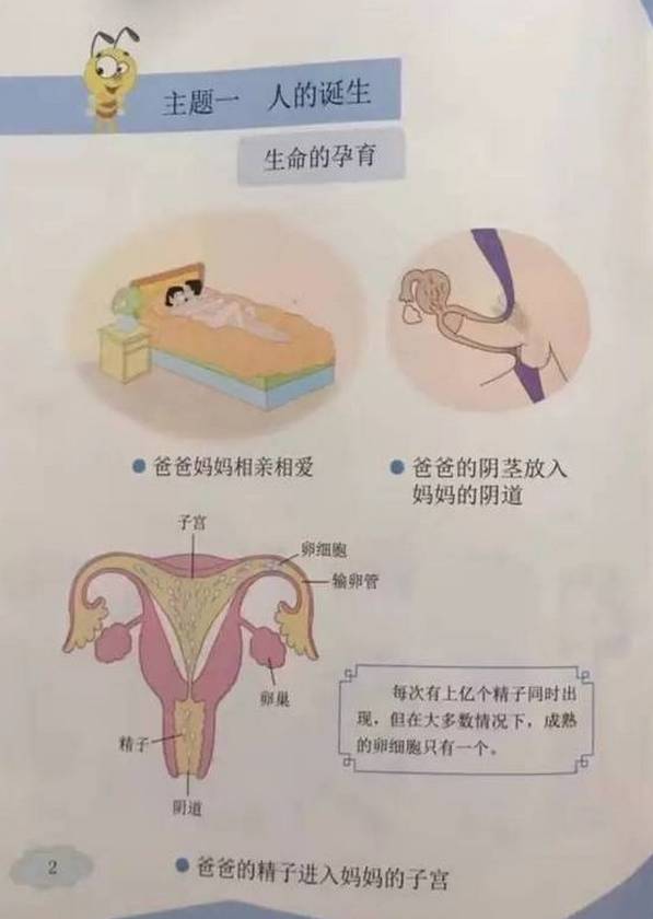 视频宝典app下载_视频app_官方下载_性福宝视频app下载