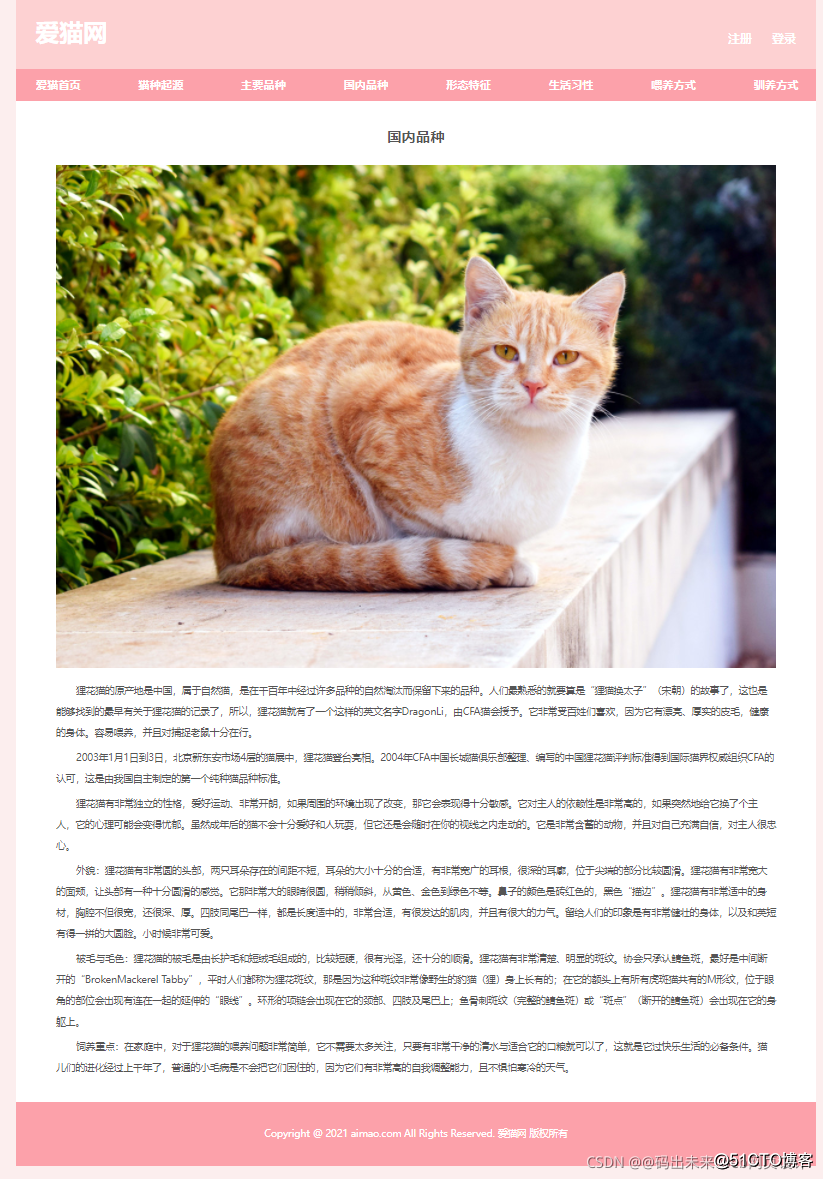 猫咪视频app官方破解版_猫咪官方网页入口_百度网页收录提交入口