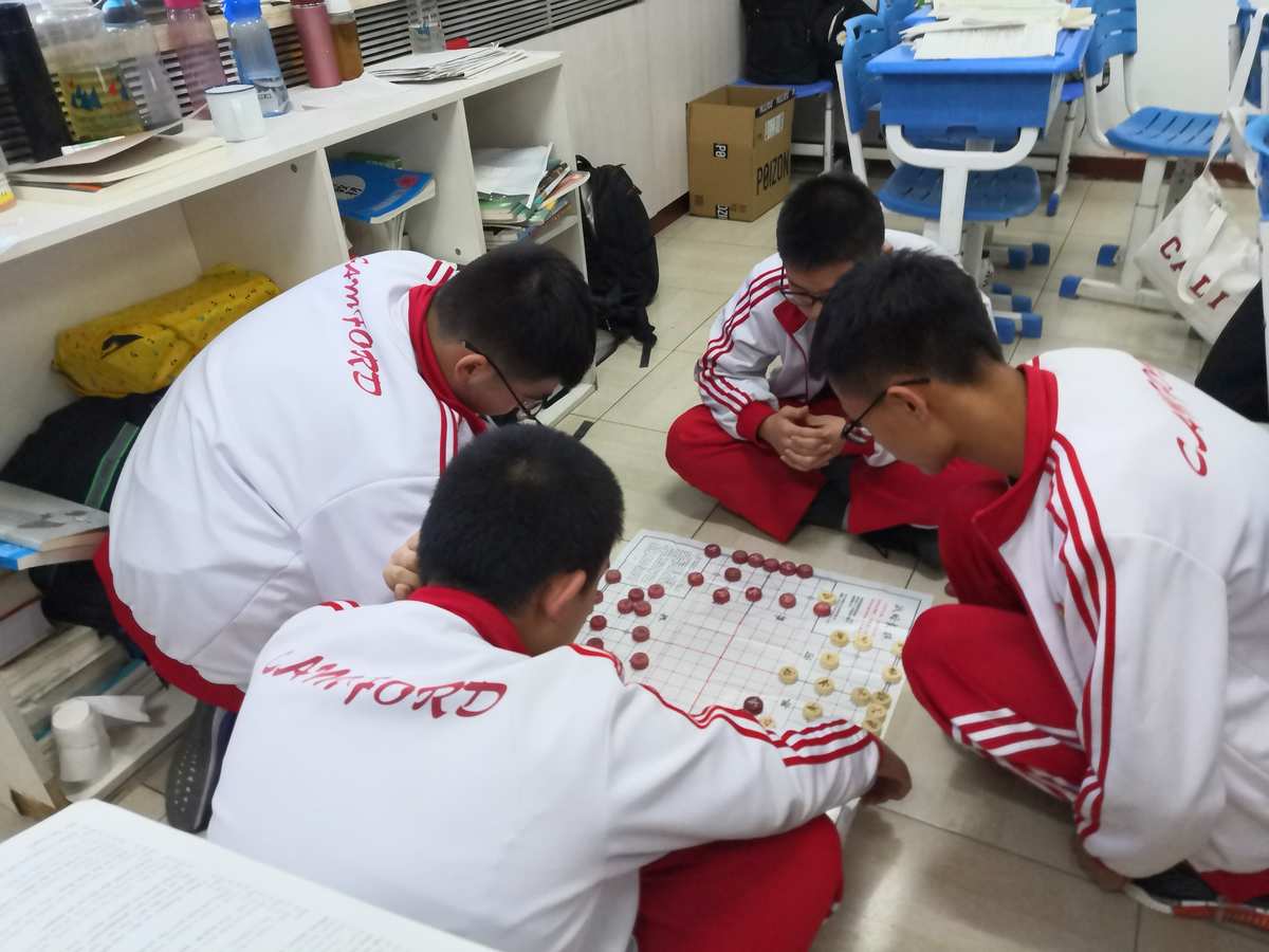 四人象棋玩法视频_四人象棋怎么玩_四人象棋手机游戏下载安装