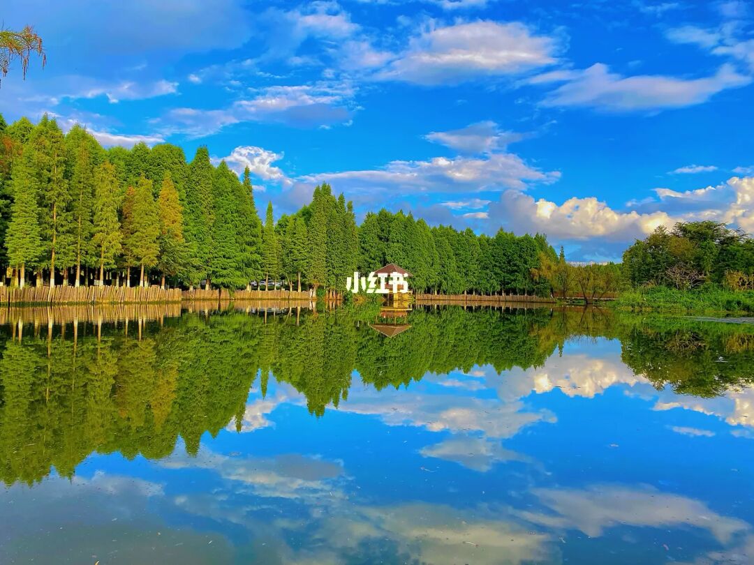武隆拍照姿势_武隆拍照手机游戏_武隆照片