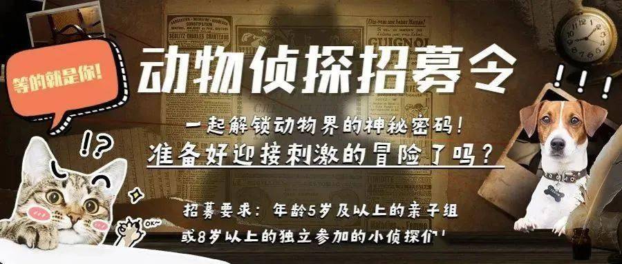 最强思维游戏_练思维的手机游戏_思维游戏手机排行