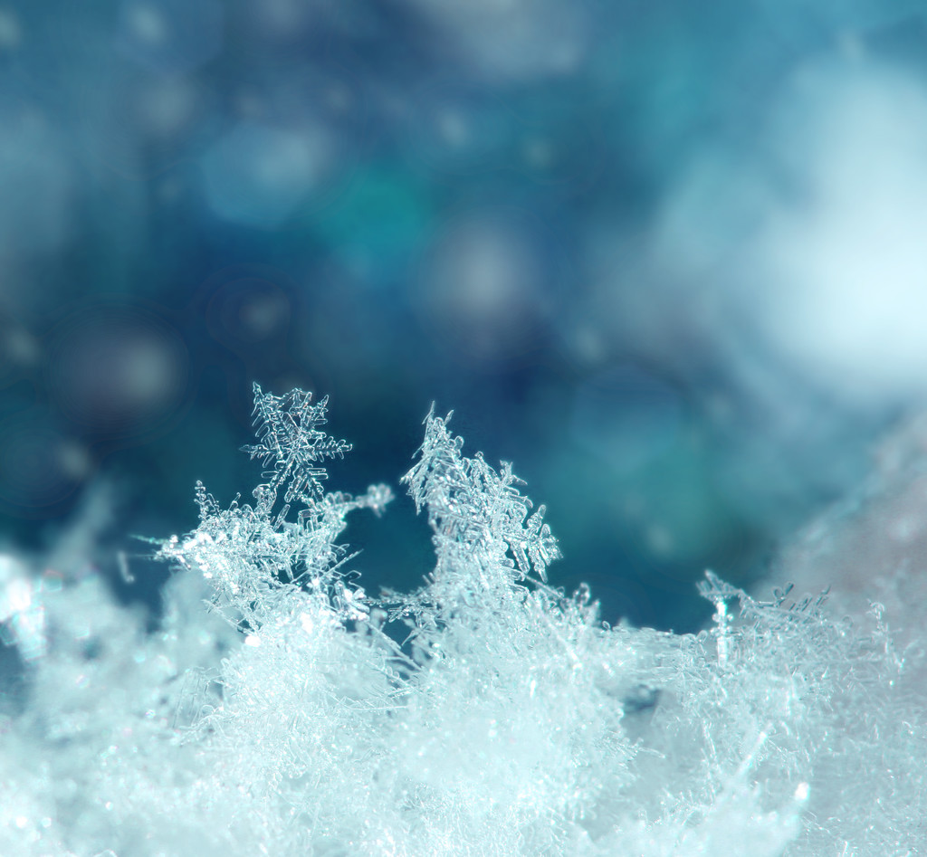 大雪纷飞，寒冷无比，真冬世界的独特魅力