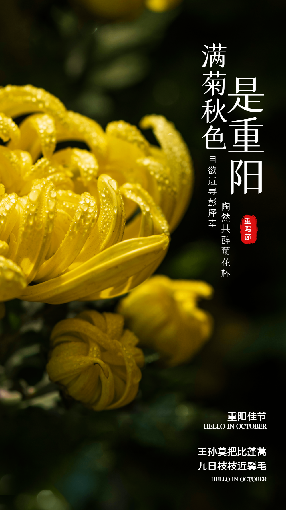 重阳节是什么节日_重阳节日是什么节日_重阳节是撒节日