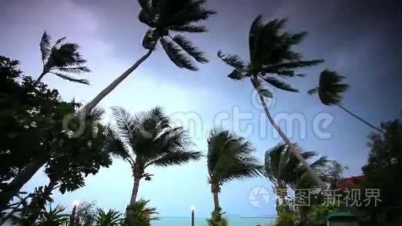 热带雨免费观看高清完整版_视频热带雨_热带雨删减的视频在线观看