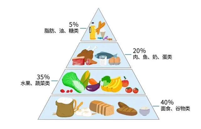 素食玩家什么意思_素食手机游戏_素食手机游戏大全