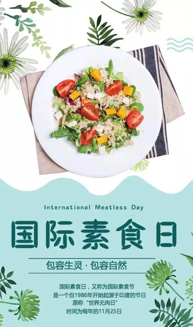 素食玩家什么意思_素食手机游戏_素食手机游戏大全