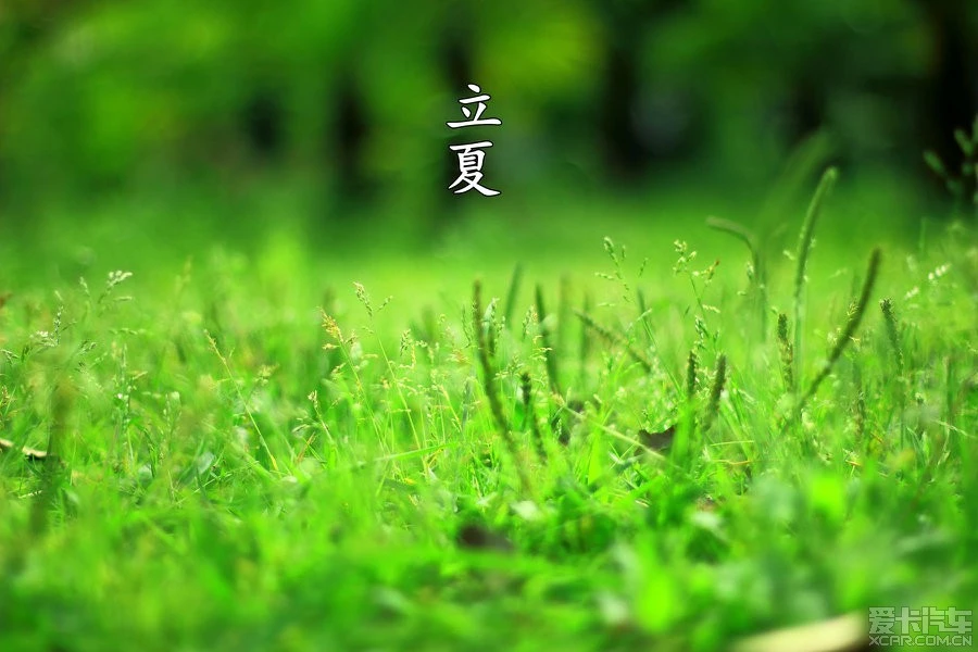 小满之后的下一个节气_节气小满的来历_小满节气下雨好吗