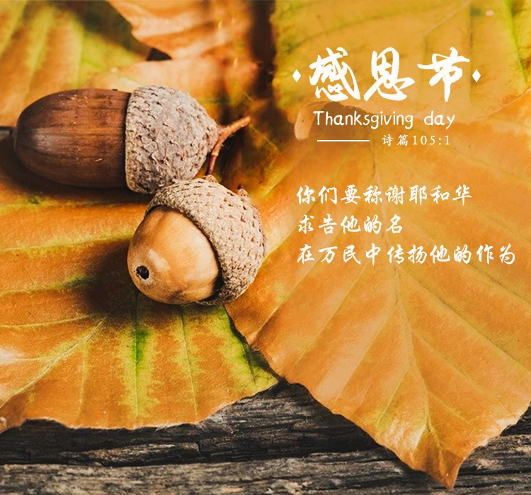 感恩节歌曲_感恩节歌曲大全100首_感恩节歌曲儿歌