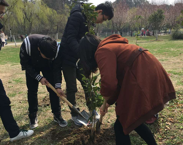 种出一个地球_种出个地球_地球是怎么种的