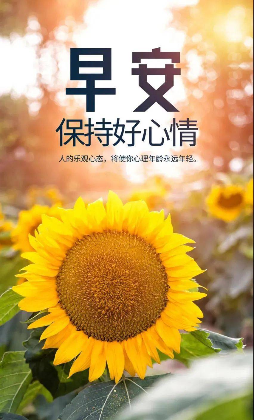 最不保值的游戏手机排行_保值手游游戏排行榜_最保值的手机游戏