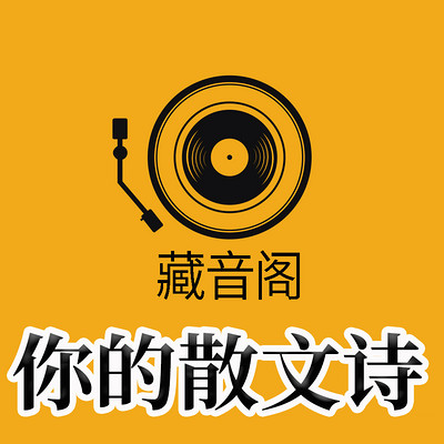 诗音：音乐播放器新宠，功能强大操作简便，音质超乎想象