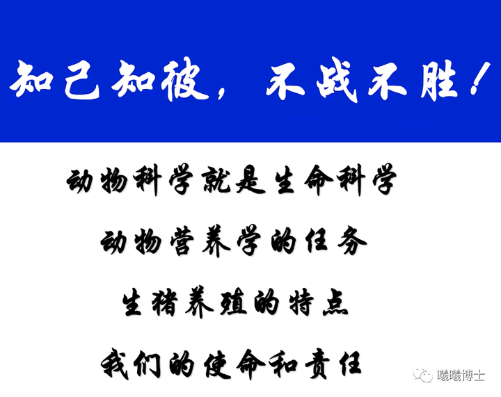 死或生游戏手机_死或生单机游戏手机版_死或生手机中文版下载