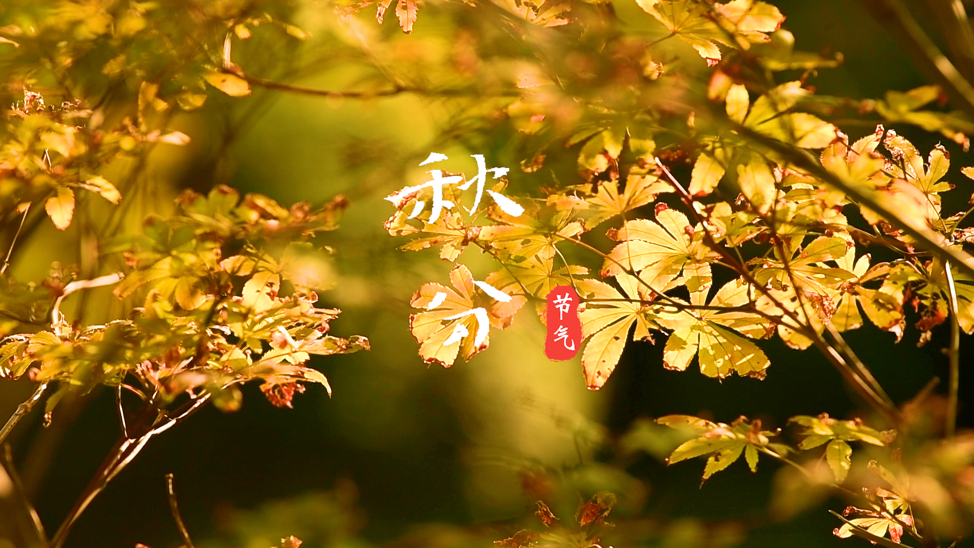 最热的节气_节气热的即兴评述_节气热度怎么获得