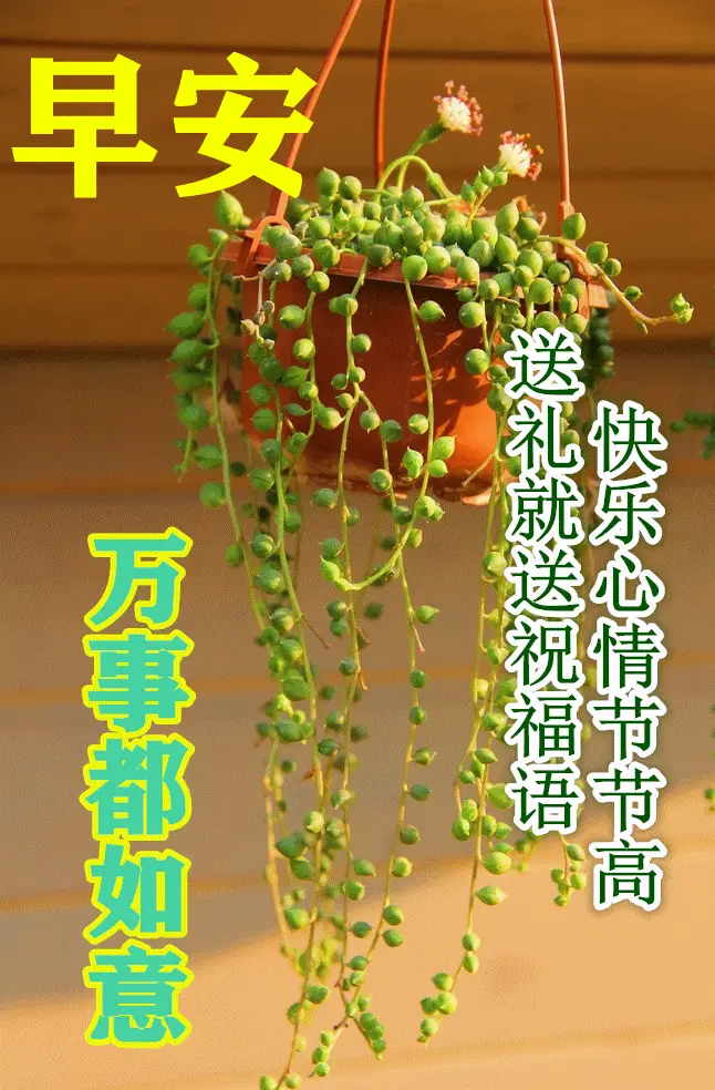 初七上班祝福语_初七上班问候语_上班语初七祝福语怎么说
