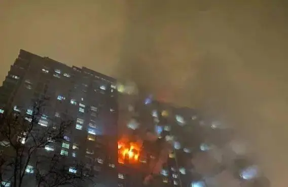 岚夜是什么意思_岚夜小说军工无敌_夜岚