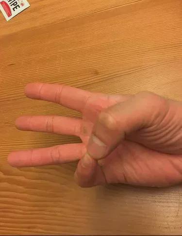 骆驼指_骆驼指_骆驼指