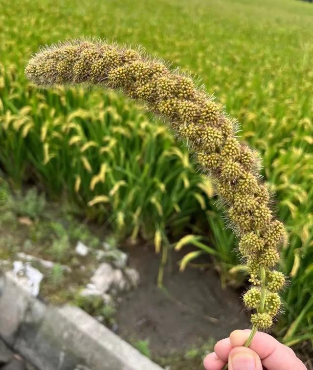 小米游戏切换账号_小米手机游戏登录切换账号_小米手机游戏登录切换账号