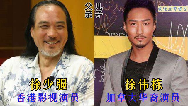 如父如子在线看-揭秘父子相似之处背后的故事