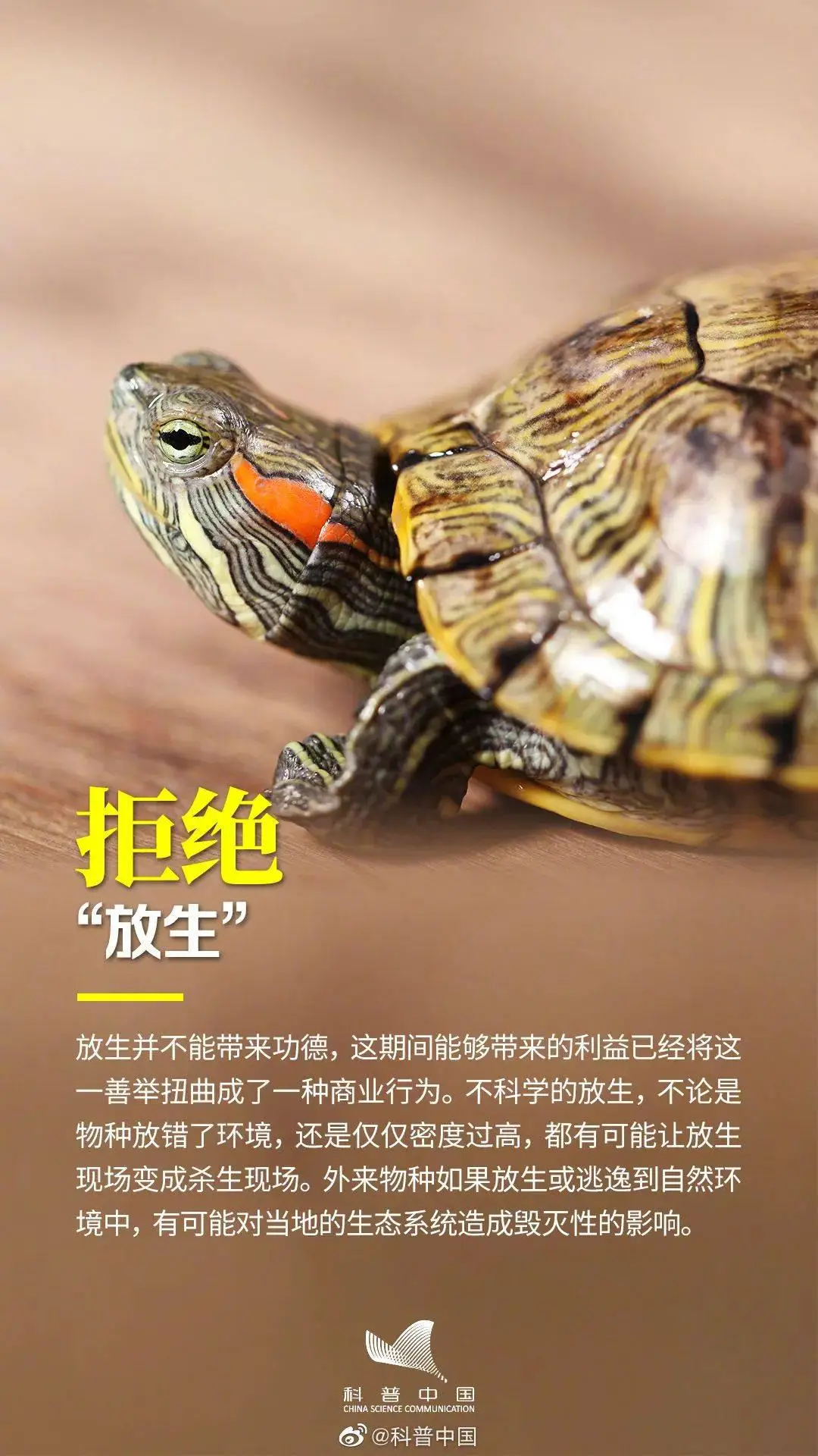 野生植物大全名字和资料_野生植物手机版游戏_野生植物图鉴