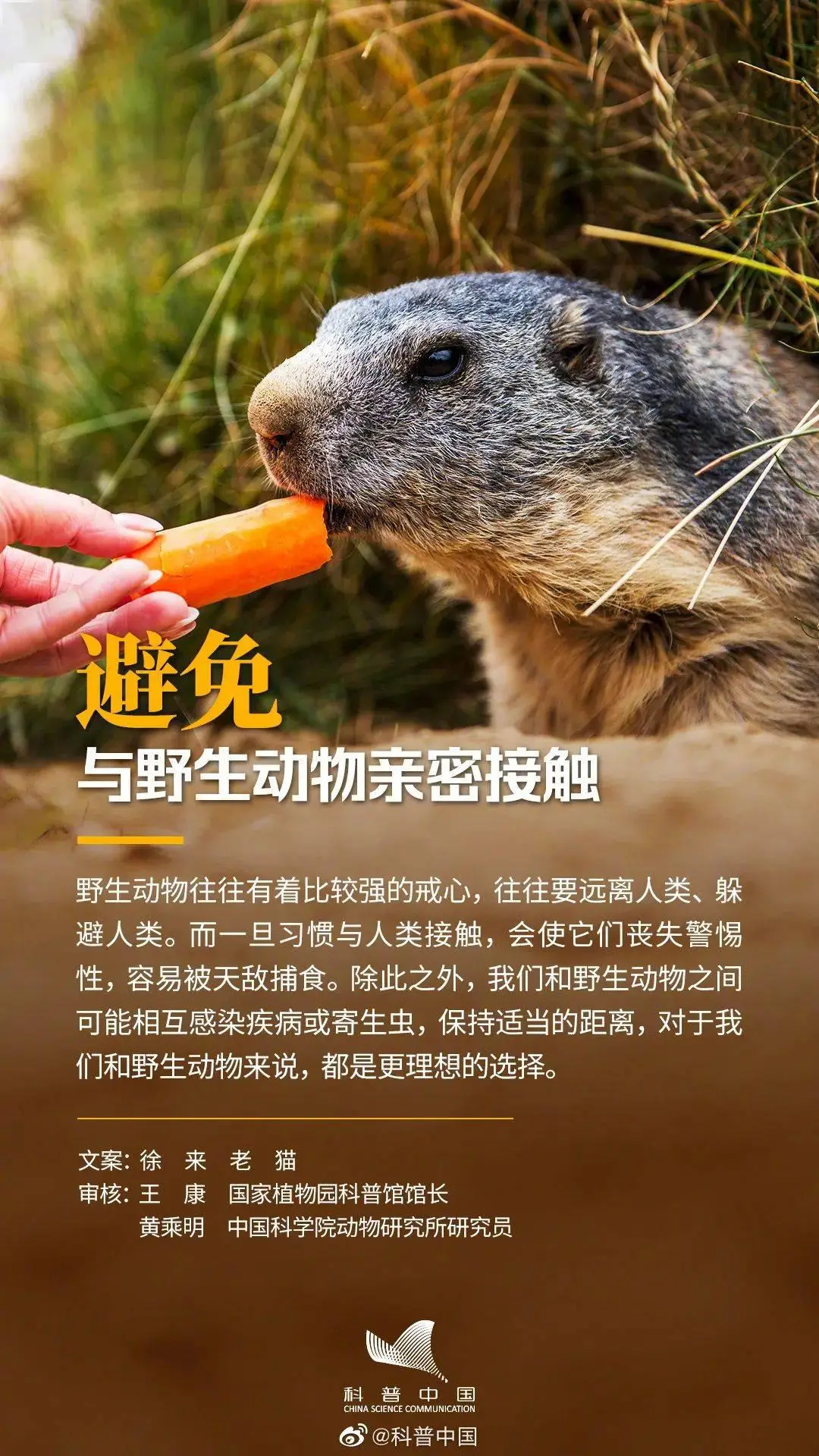 野生植物手机版游戏_野生植物大全名字和资料_野生植物图鉴