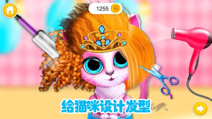 养猫游戏app_养猫的游戏手机游戏下载_游戏养猫咪