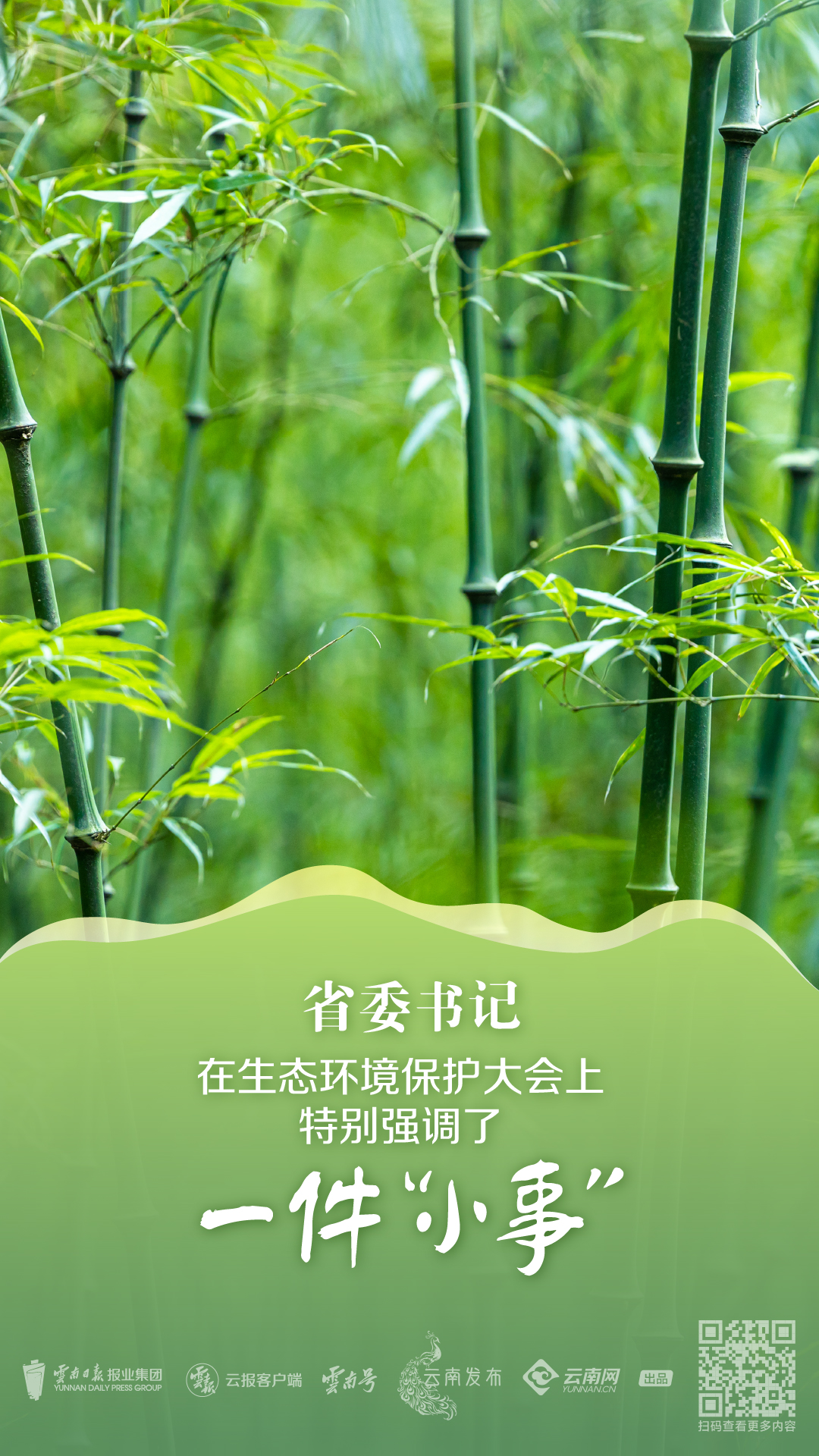 用竹子做一个游戏机手机-结合科技与环保，打造独具匠心的竹子游戏机手机