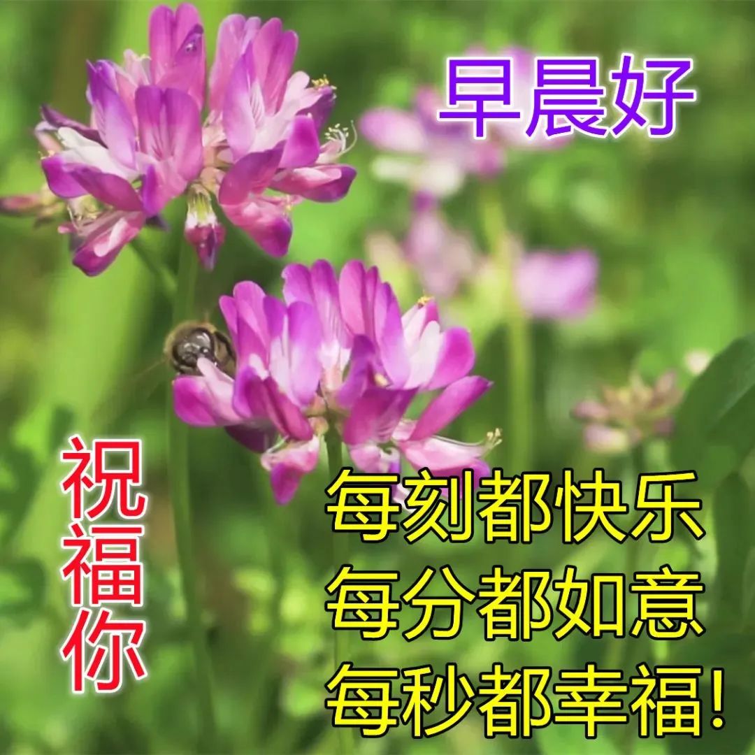 猿飞未来的彩蛋_猿飞未来好可爱_猿飞未来