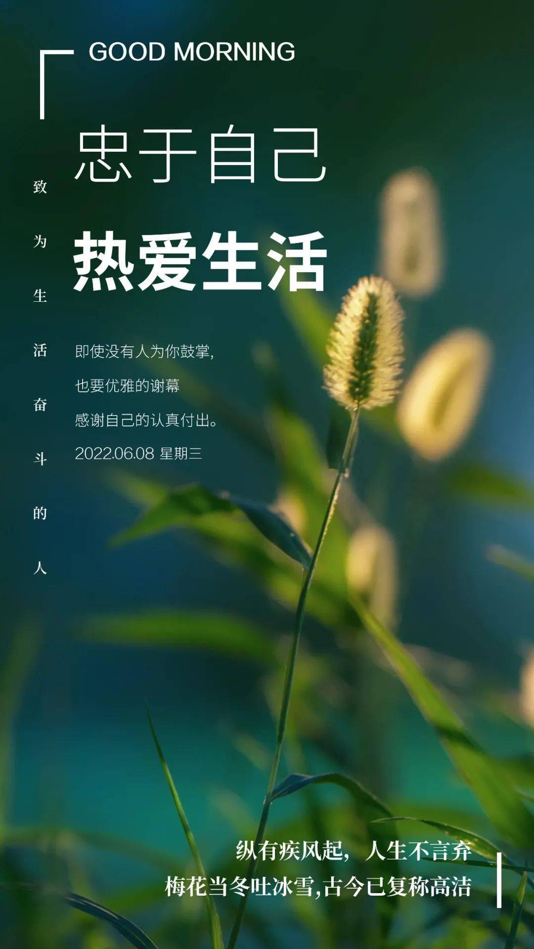 猿飞未来_猿飞未来的彩蛋_猿飞未来好可爱