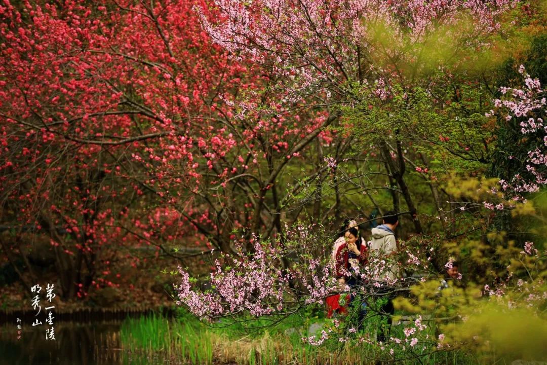 仲春时节古诗词_什么叫仲春时节_仲春时节