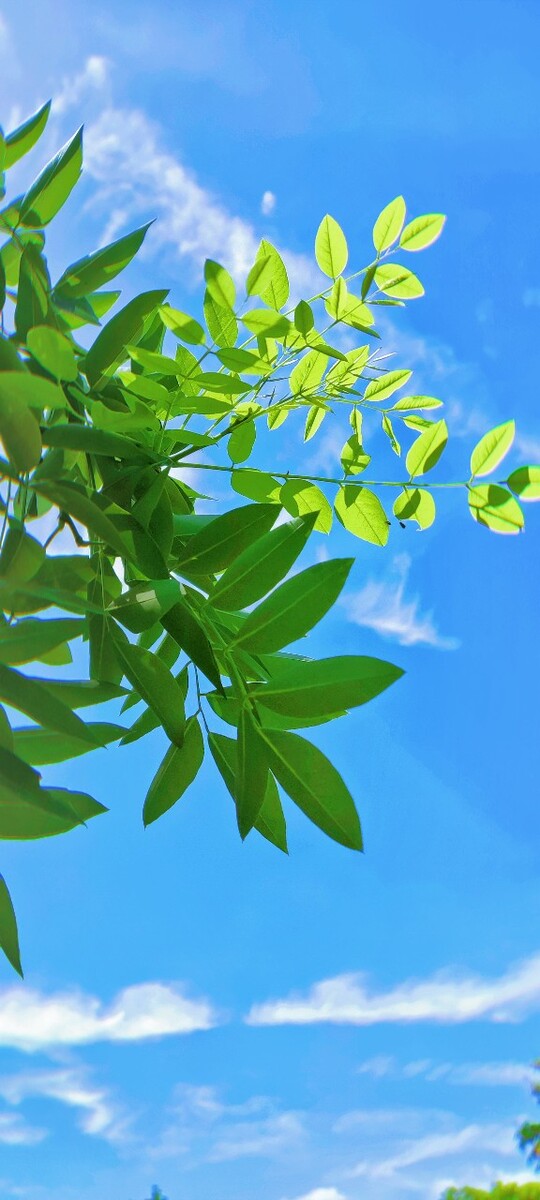 夏天是几月-夏天，让人又爱又恨的季节，充满无限可能