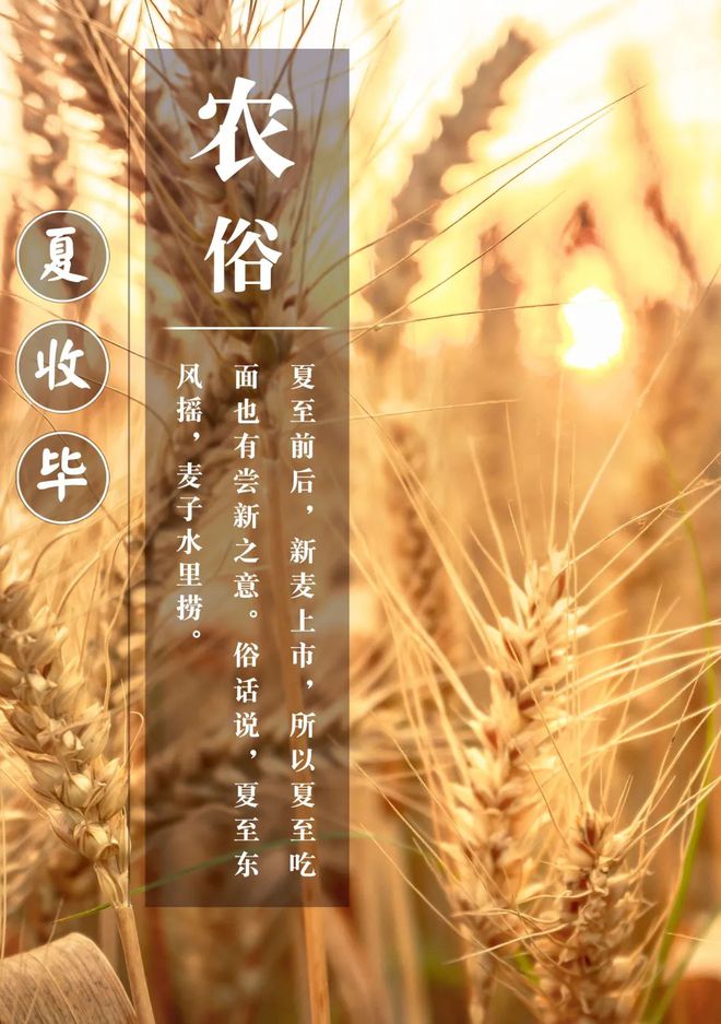 2023夏至是几月几日?_夏至月是什么电视剧的人物_夏至日是什么月相