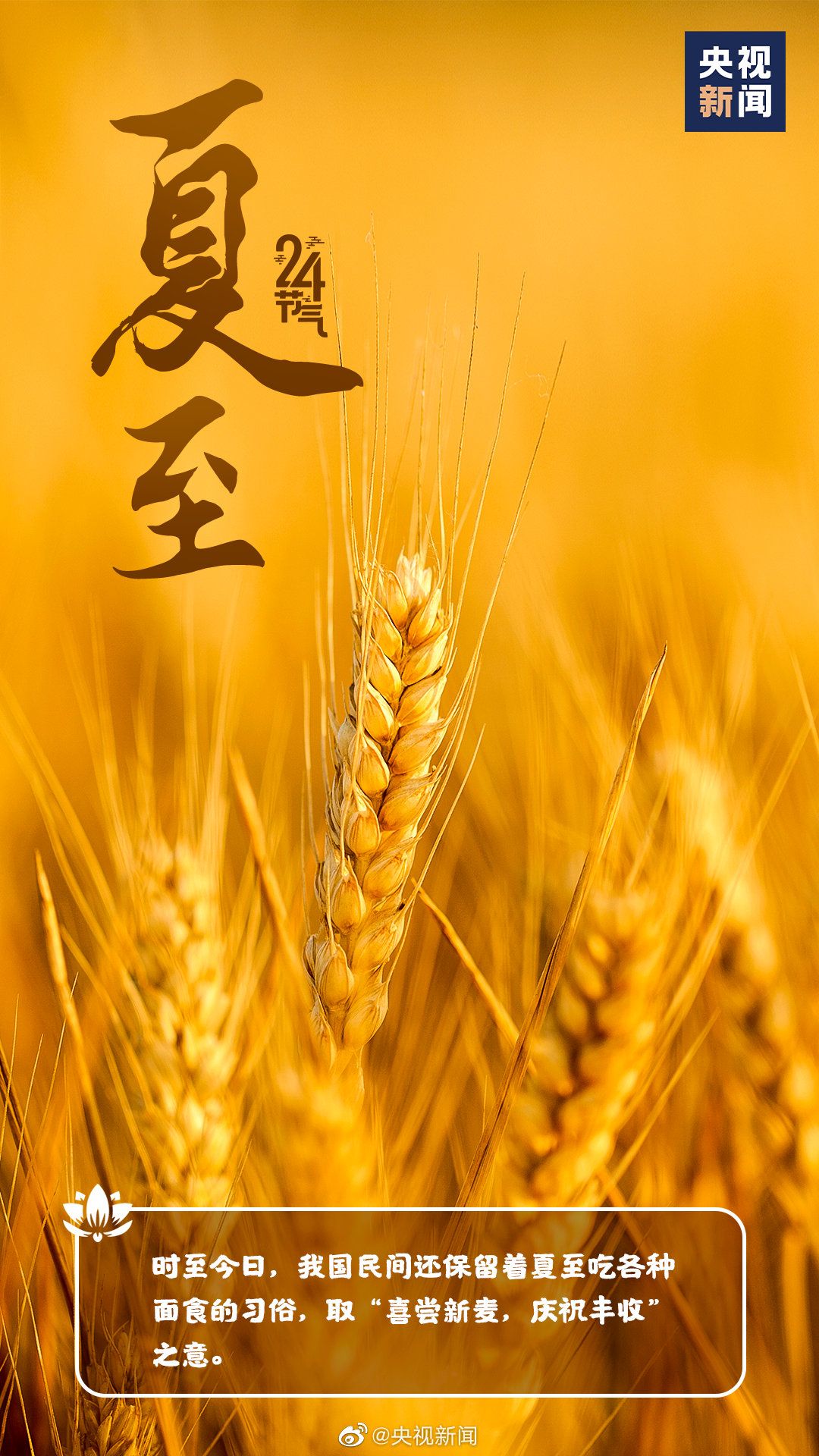 2023夏至是几月几日?_夏至月是什么电视剧的人物_夏至日是什么月相