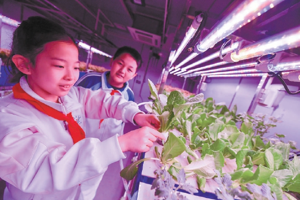 探月校园版编程app_探月编程怎么样_探月编程课怎么编出好玩的游戏