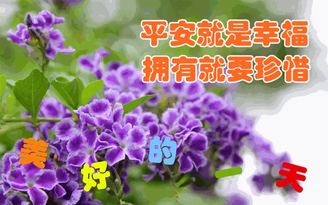 迪哥闯世界_闯世界什么意思_闯世界迪哥