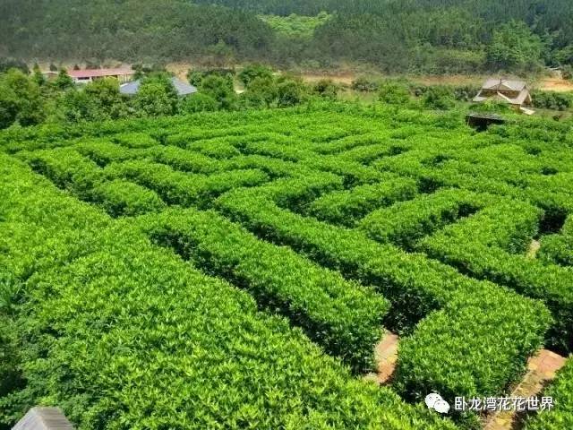 现在还在内测的手机游戏_手游内测结束还能玩吗_目前正在内测的手游有什么