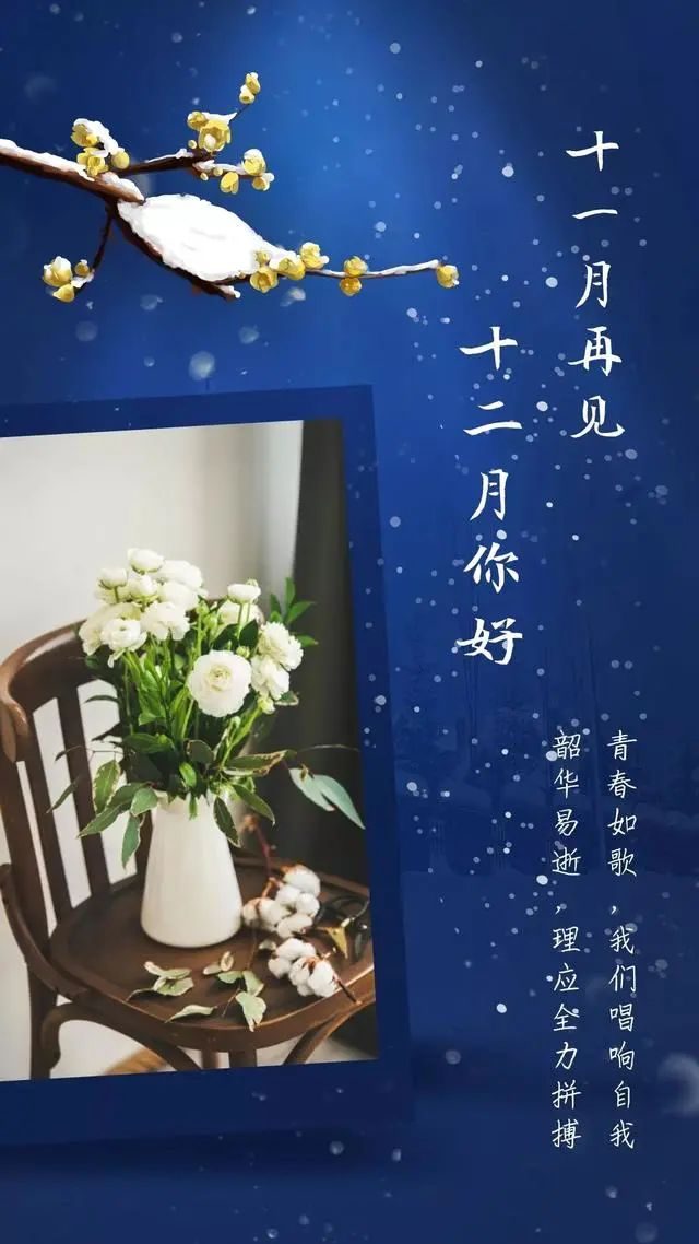 11月25日是什么日子-11 月 25 日:承载深刻记忆与情感的特别日子 11月25日是什么日子-11 月 25 日:承载深刻记忆与情感的特别日子