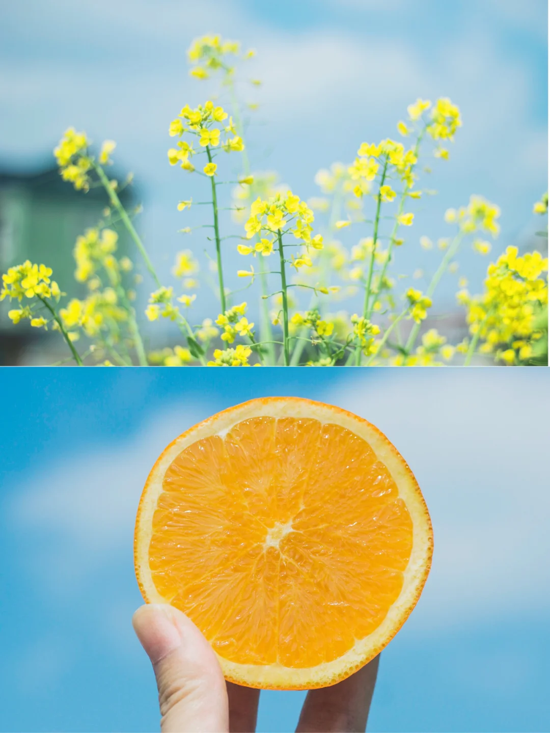 电脑感叹号怎么打出来-电脑上的感叹号怎么打？这个小技巧让你轻松搞定
