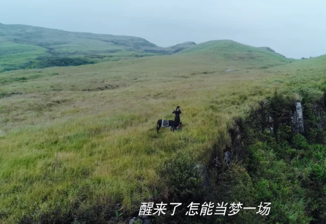 高山我梦_高山梦魇_高山梦想家
