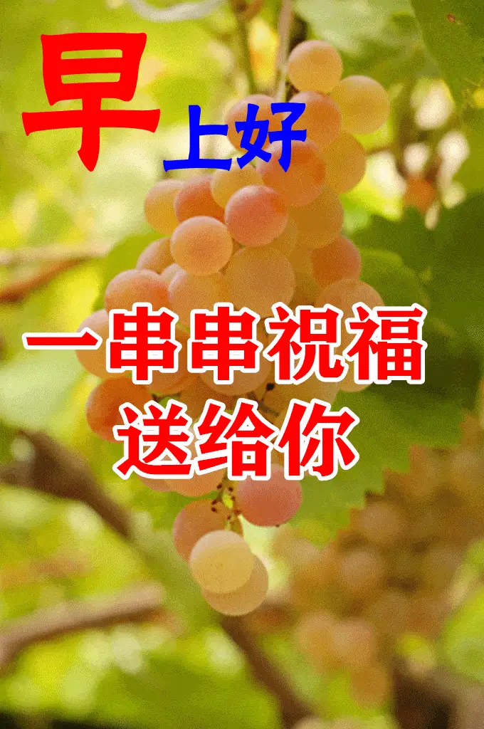 海藤瞬：生命中如流星般划过的温暖瞬间